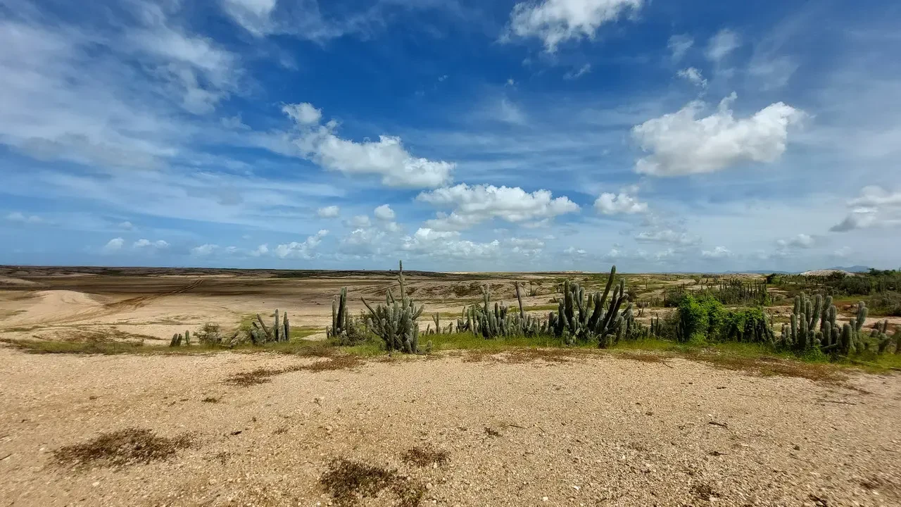 Paesaggio arido con cactus in primo piano sotto un cielo azzurro e nuvoloso.