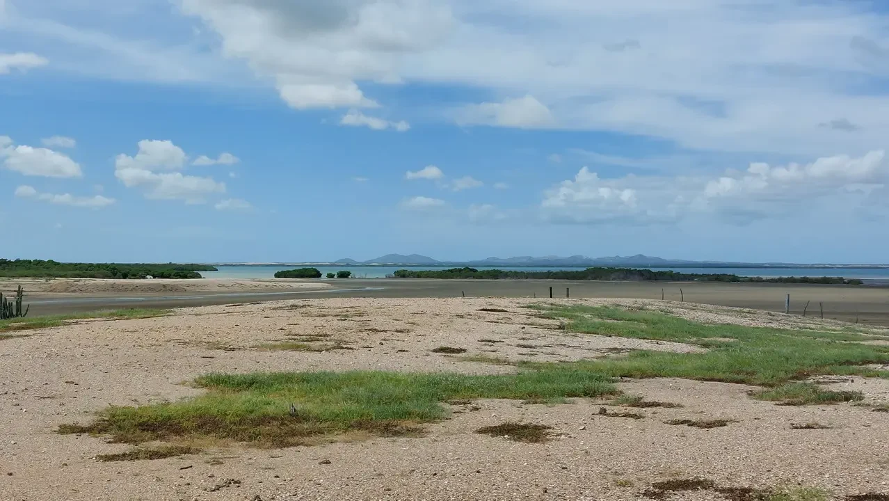 Paesaggio costiero arido con cielo azzurro sopra una linea di terra bassa.