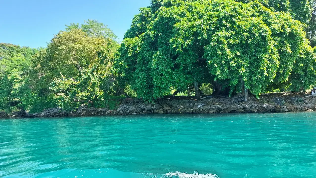 Foresta lussureggiante con acqua turchese cristallina in Colombia.