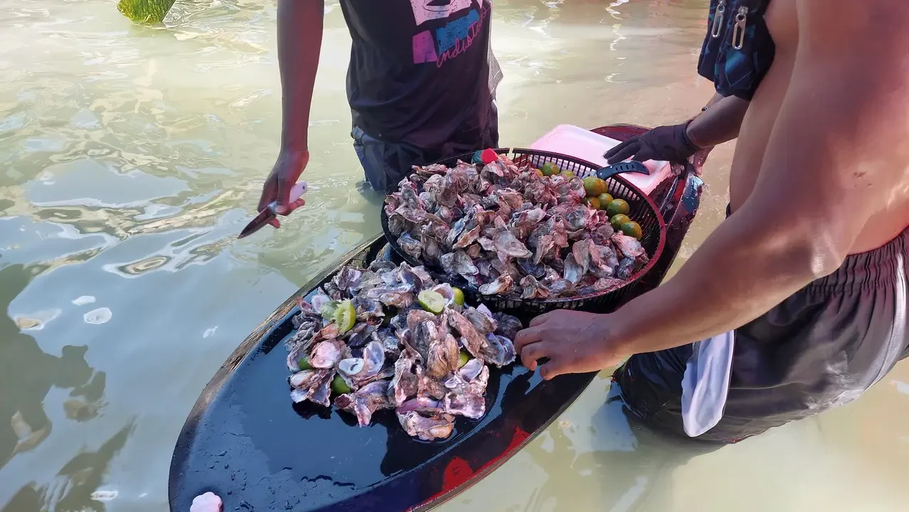 Pesce fresco galleggia nell'acqua durante una pesca in Colombia.