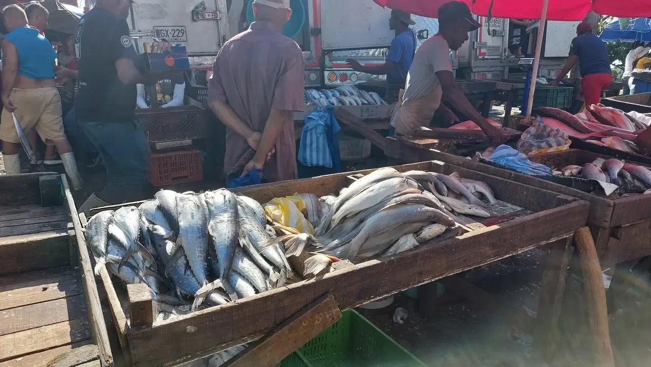 Pesci freschi vengono venduti in un mercato a Cartagena, Colombia.