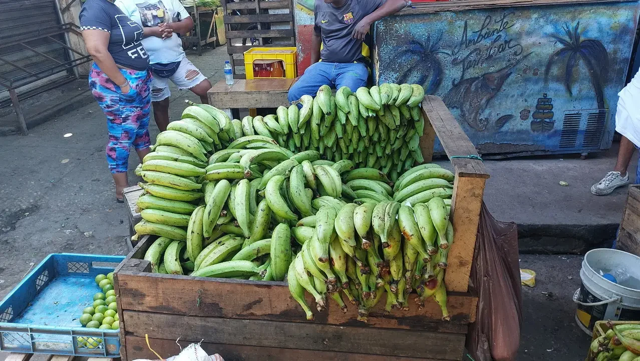 Un venditore espone una grande quantità di ananas freschi su un mercato colombiano.