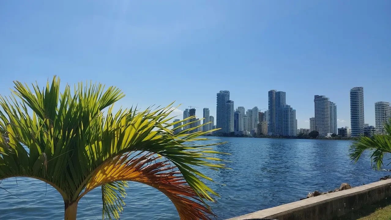 Vista panoramica del mare con palme tropicali in primo piano e edifici moderni sullo sfondo.