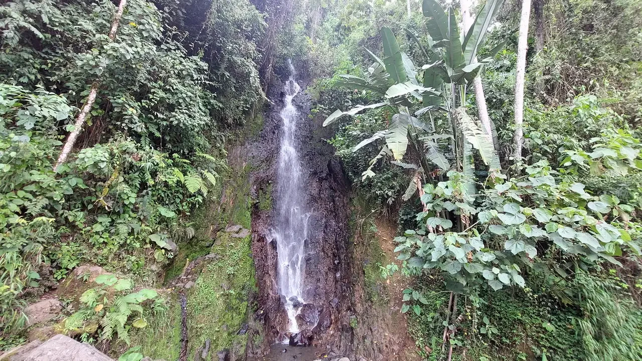 Una cascata verde scorre attraverso una fitta foresta tropicale in Colombia.