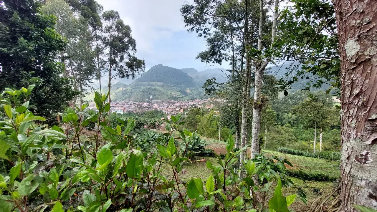 Paesaggio collinare e vegetazione lussureggiante in Colombia.