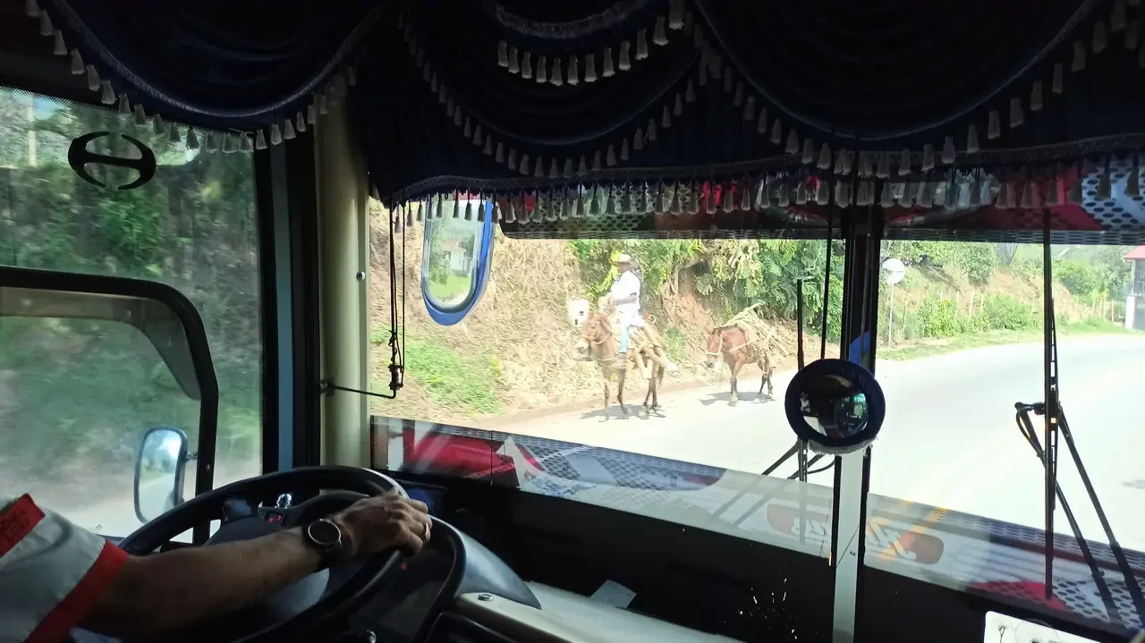 Un viaggio in auto attraverso un paesaggio rurale colombiano con animali da tiro.