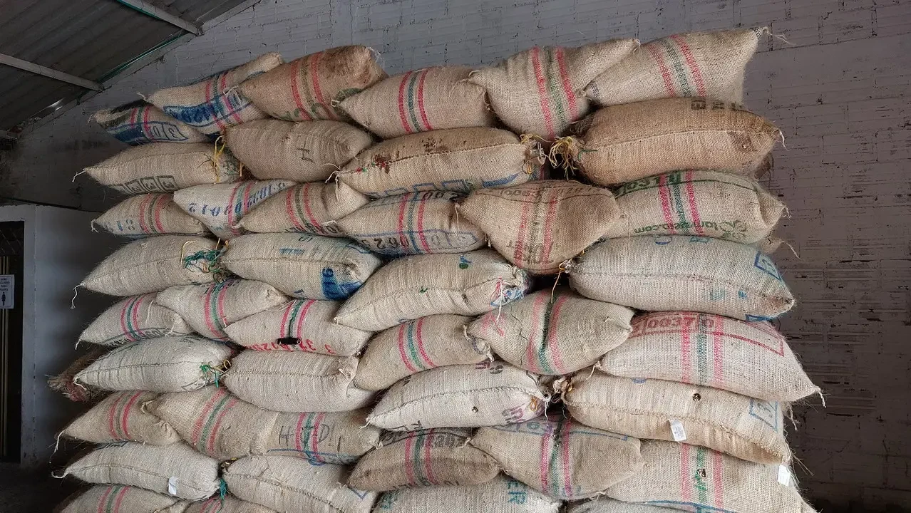 Sacchi di caffè in sacchi di juta sono impilati in un magazzino rurale colombiano.