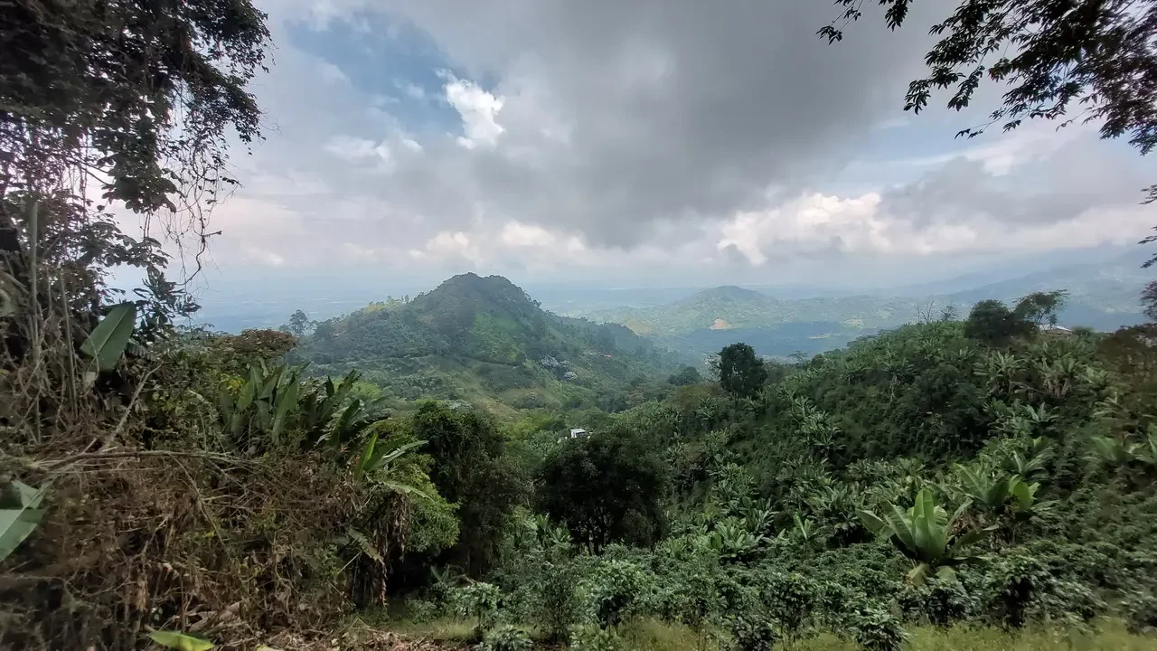 Paesaggio montano verde con nuvole coprono la valle in Colombia.