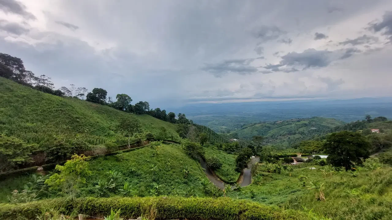 Eje Cafetero