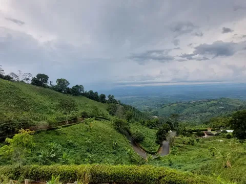 Eje Cafetero