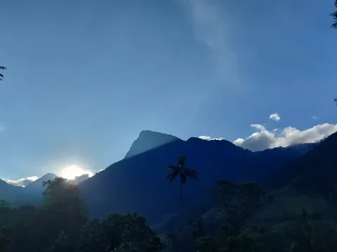 Valle de Cocora