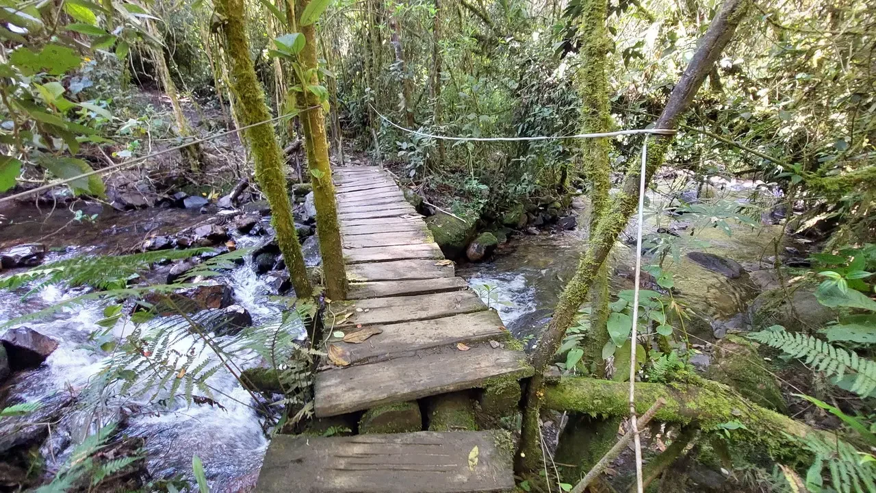 Sentiero di legno sopra un torrente nella giungla colombiana.