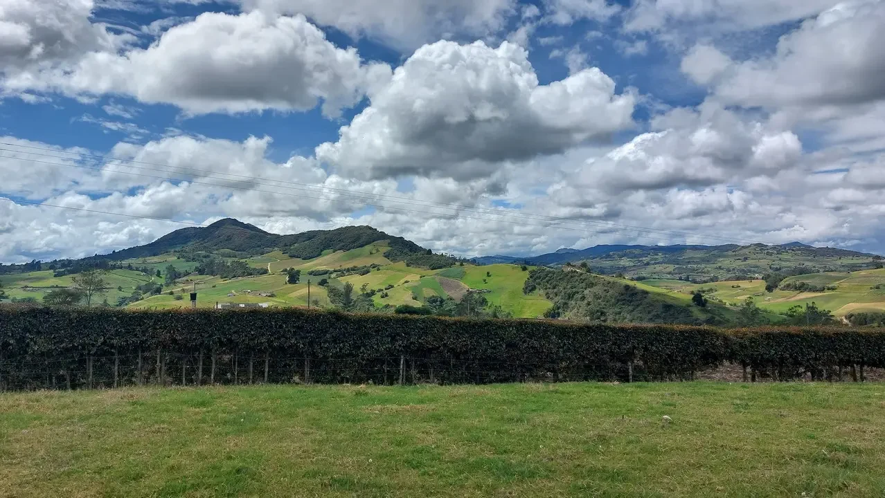 Una strada panoramica attraversa un paesaggio collinare verde in Colombia.