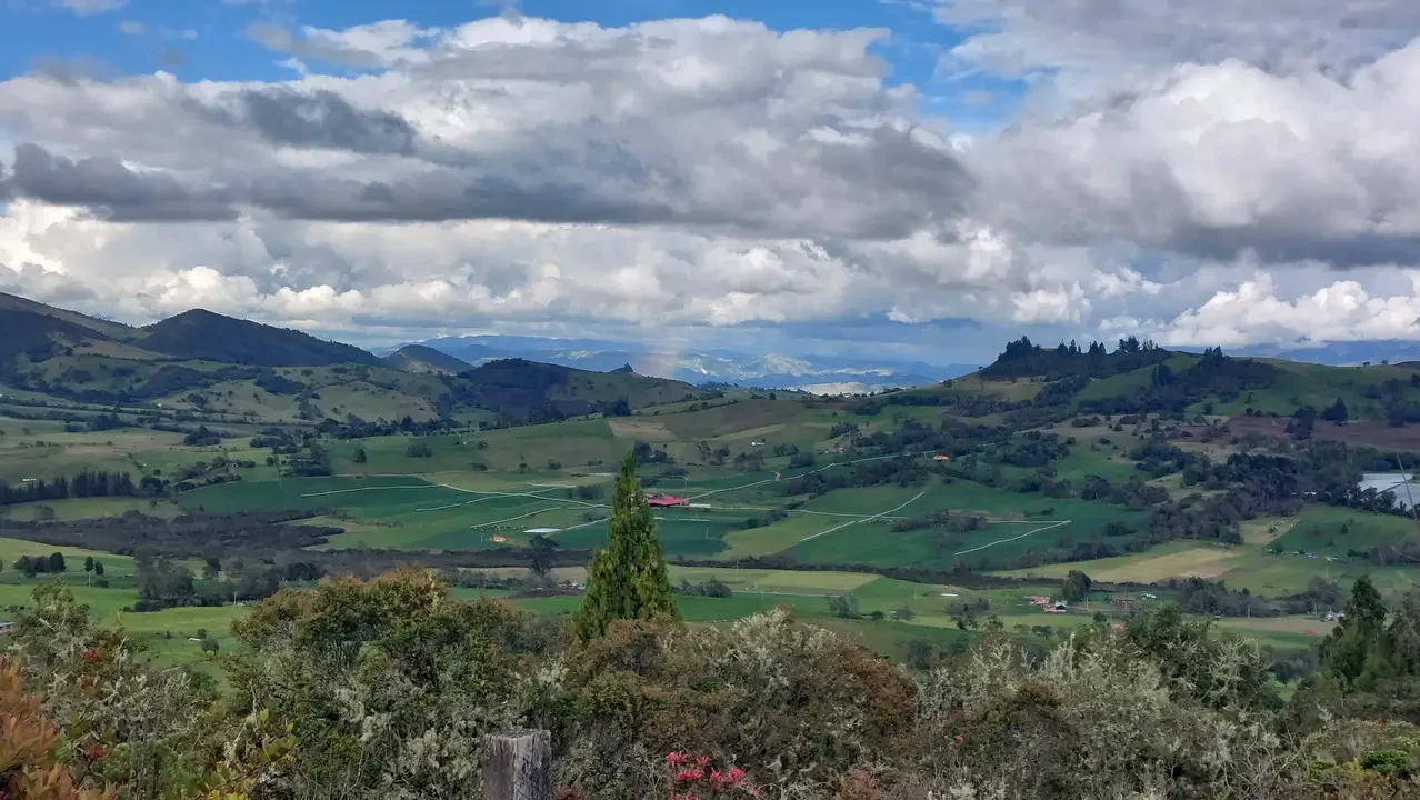 Paesaggio collinare verde con montagne sullo sfondo sotto un cielo nuvoloso.