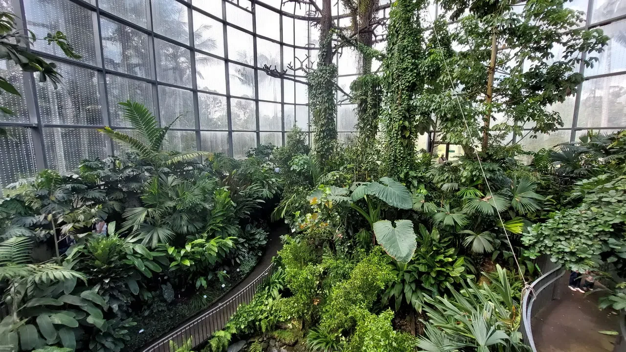 Vegetazione lussureggiante all'interno di una serra botanica in vetro.