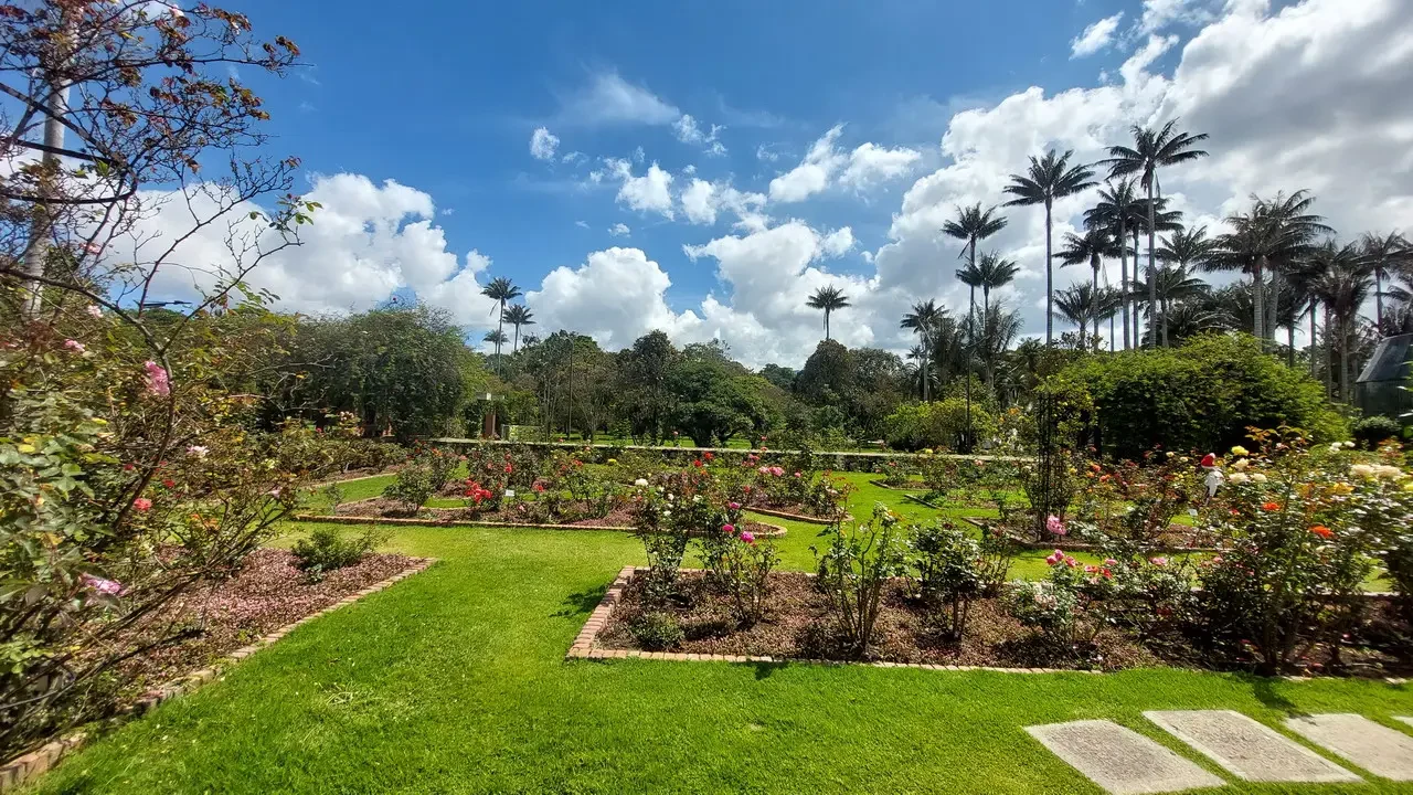 Giardino botanico di Bogotá con una vista aperta sul cielo e la vegetazione lussureggiante.