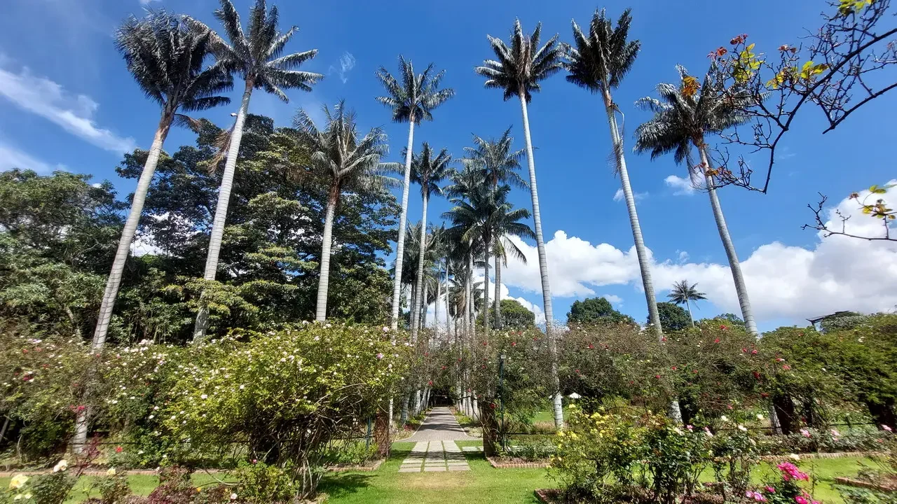 Bogotà