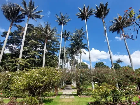 Bogotà