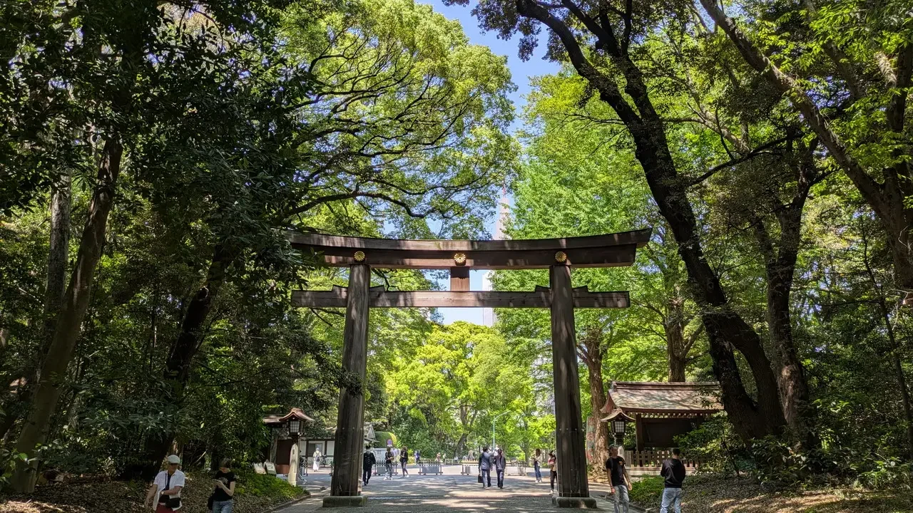 Portale torii ligneo attraversa un viale alberato in Giappone.