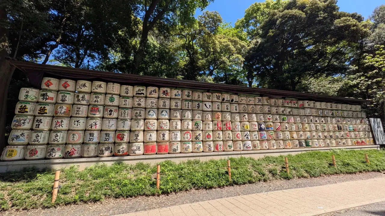 Una galleria di pannelli colorati lungo un sentiero alberato in Giappone.
