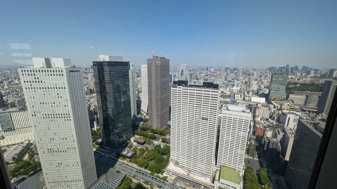 Vista aerea del Palazzo del Governo di Tokyo e degli edifici circostanti.