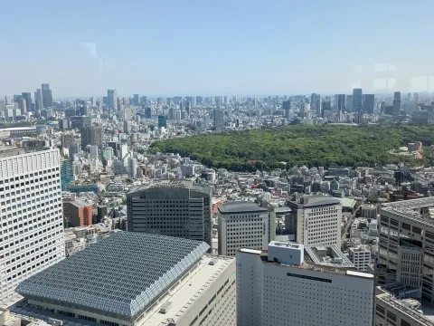 Arrivo a Tokyo