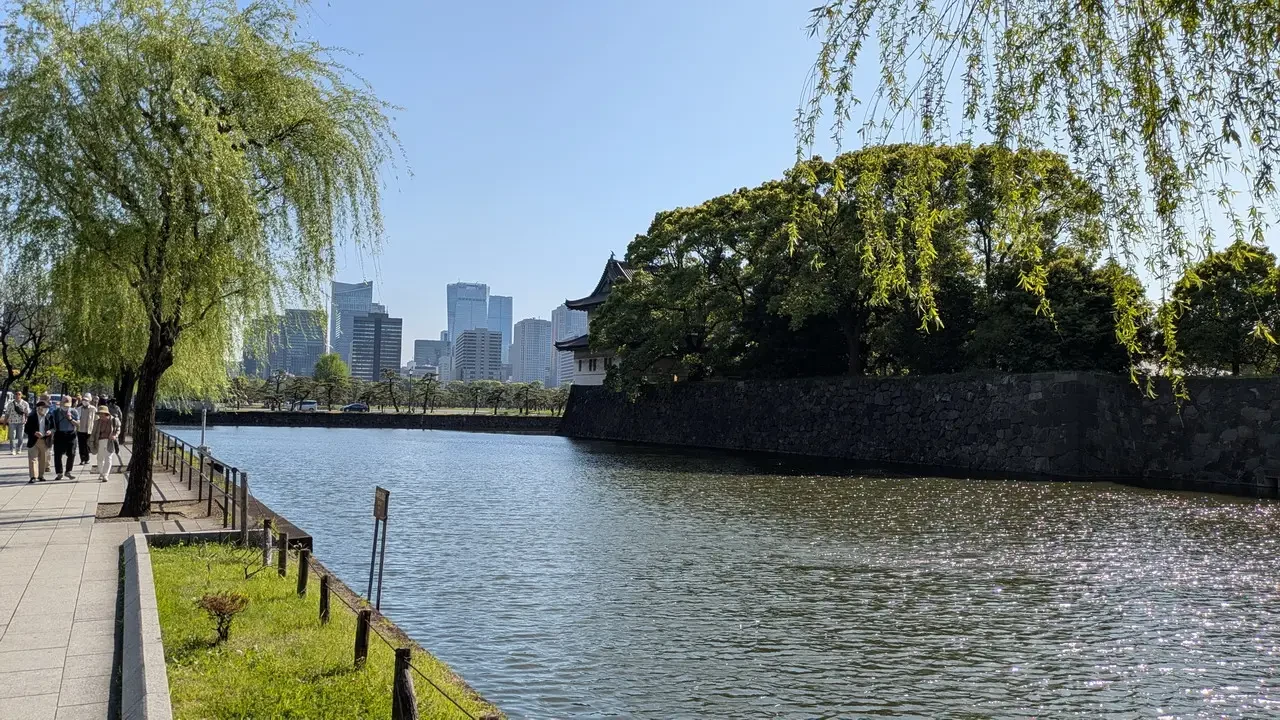 Una passeggiata lungo un canale fiancheggiato da alberi e un muro di pietra in Giappone.