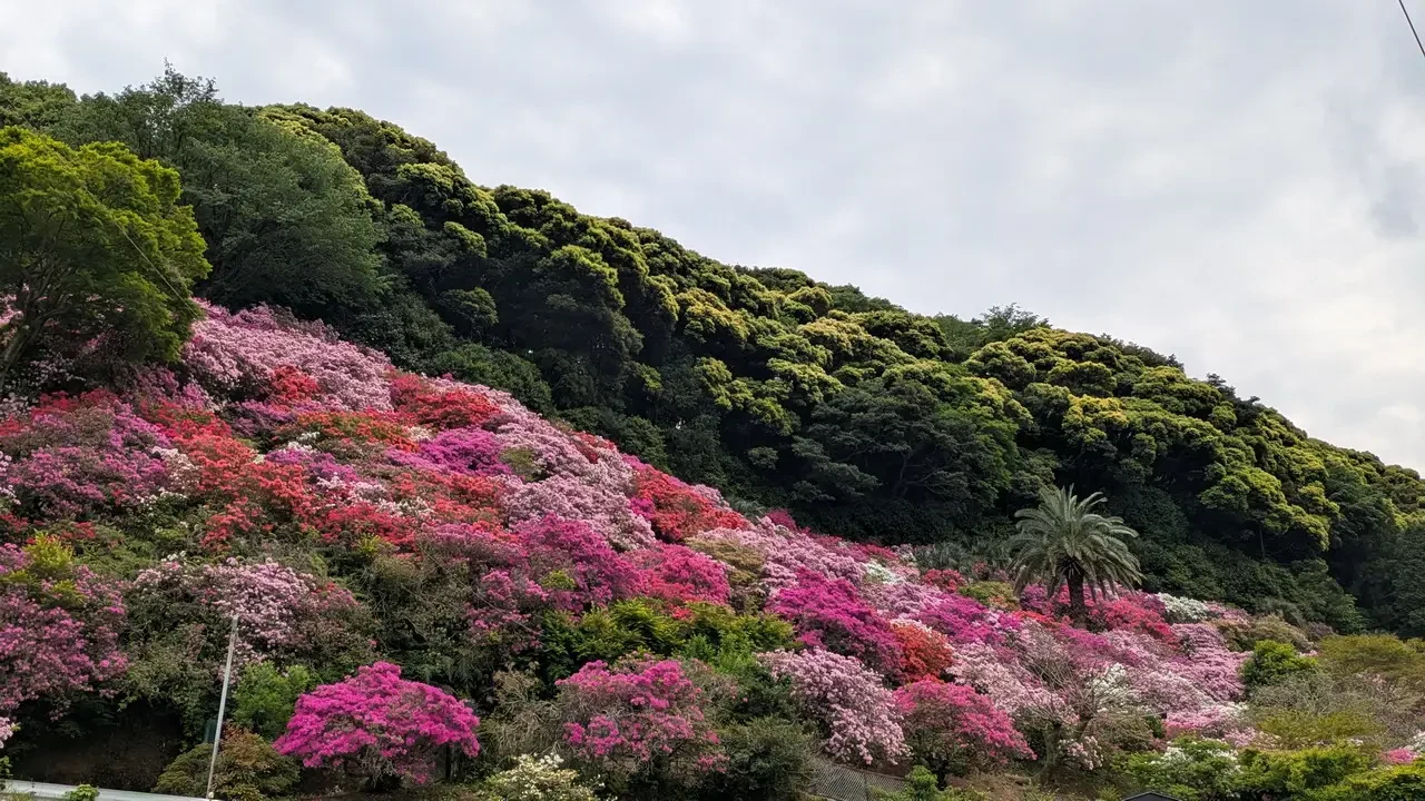 Isola di Kyushu I