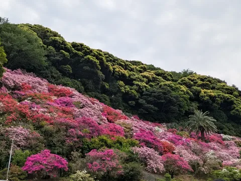 Isola di Kyushu I
