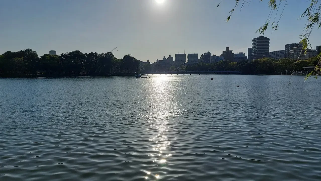 Panorama soleggiato di una città giapponese riflessa sull'acqua con alberi in primo piano.