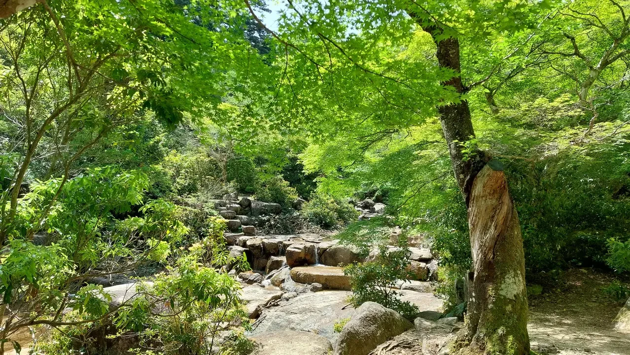 Paesaggio verde con fiume e alberi in Giappone.