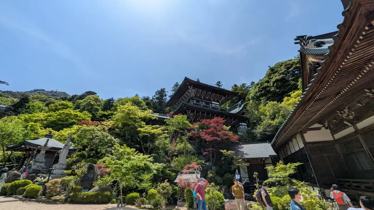 Paesaggio verde con edifici tradizionali giapponesi su una collina frondosa.