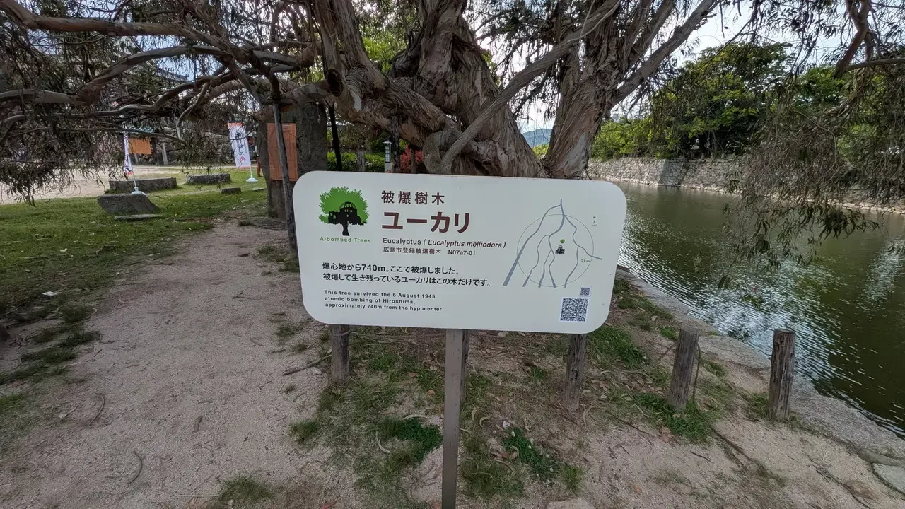 Vista del castello di Hiroshima con un fiume e alberi lungo la riva.