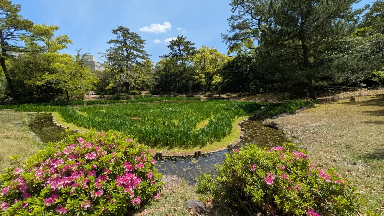 Giardino lussureggiante con fiori rosa e acqua in Giappone.
