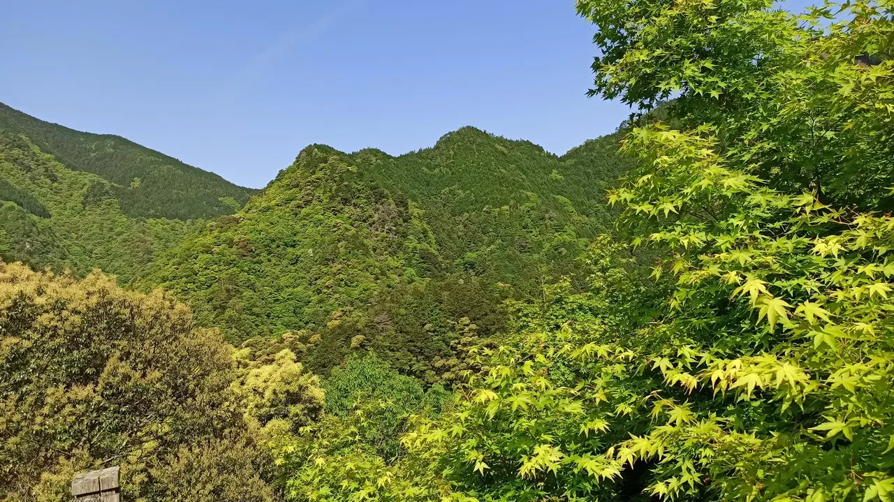 Paesaggio montano verdeggiante con foreste dense in Giappone.