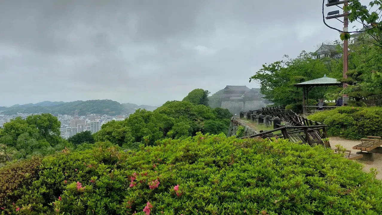 Vista panoramica del castello di Matsuyama immerso nel verde giapponese.