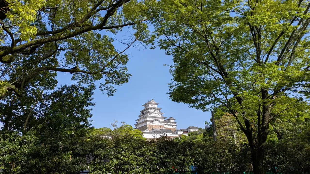 Il castello di Himeji è visibile attraverso il fogliame verde in Giappone.