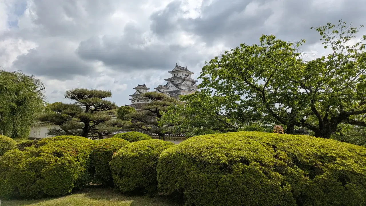 Il castello di Himeji è immerso in un paesaggio verdeggiante con alberi e siepi.