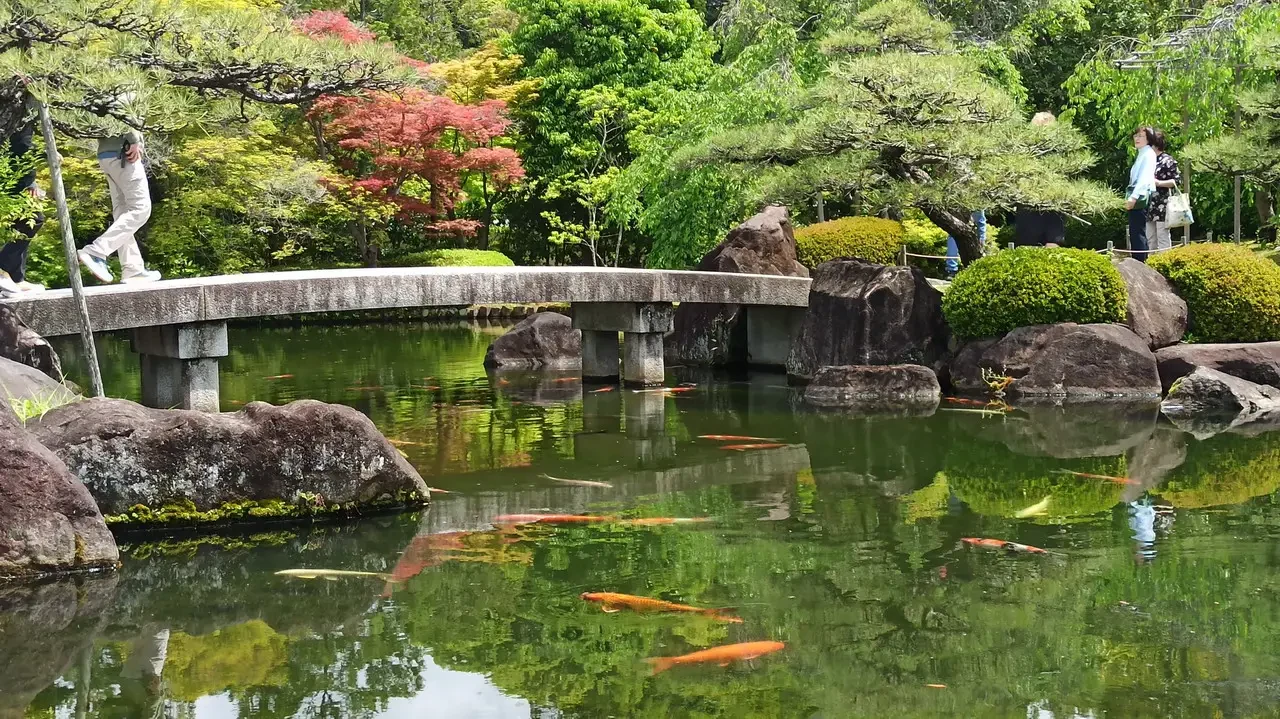 Giardino giapponese con un ponte sopra uno stagno tranquillo e alberi colorati.