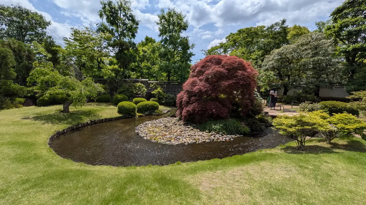 Giardino giapponese con un piccolo stagno e alberi lussureggianti.