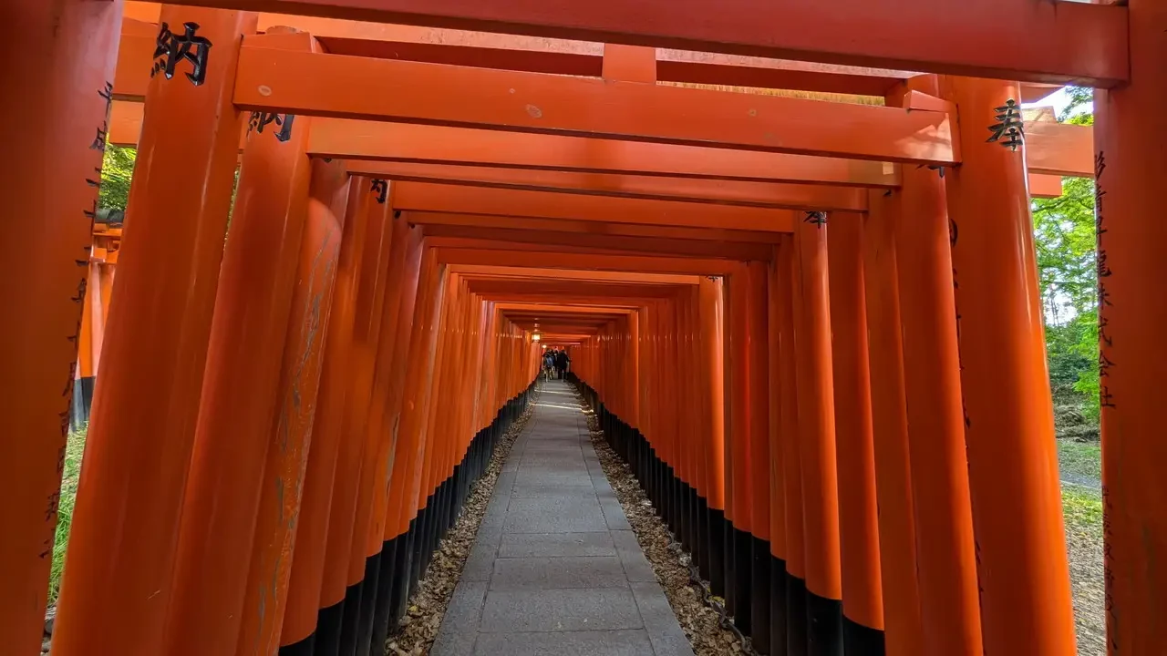 Passaggio lungo il santuario di Fushimi Inari con torii rossi vivaci.