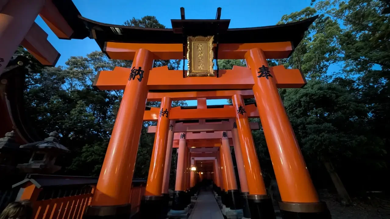 Una fila di porte torii arancioni conduce attraverso un sentiero boscoso in Giappone.