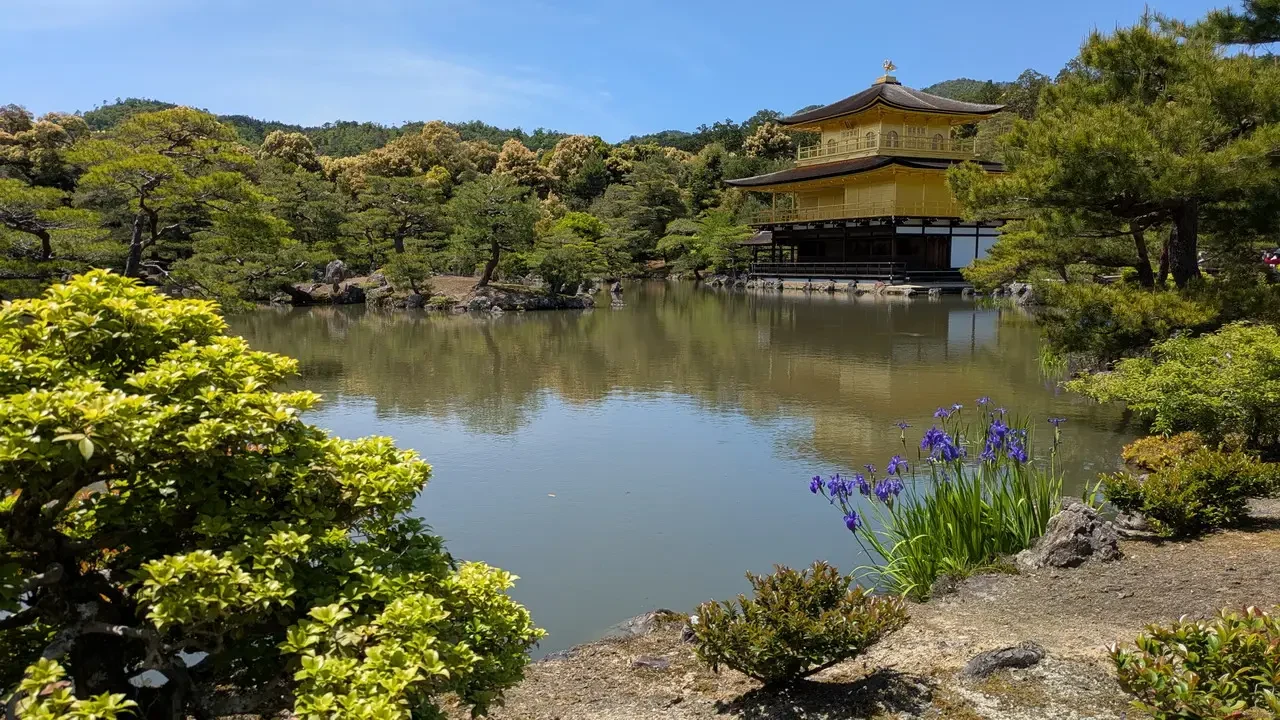 Il tempio dorato Kinkaku-ji risplende sull'acqua in un paesaggio verdeggiante.