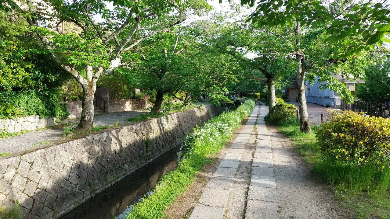 Sentiero alberato lungo un ruscello in un parco di Kyoto.