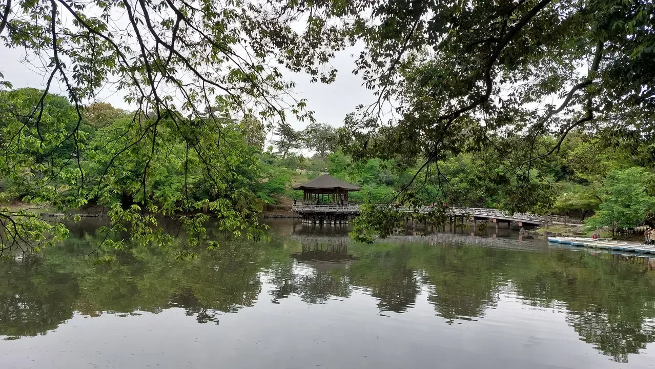 Un padiglione galleggiante si trova su un lago circondato da alberi lussureggianti.