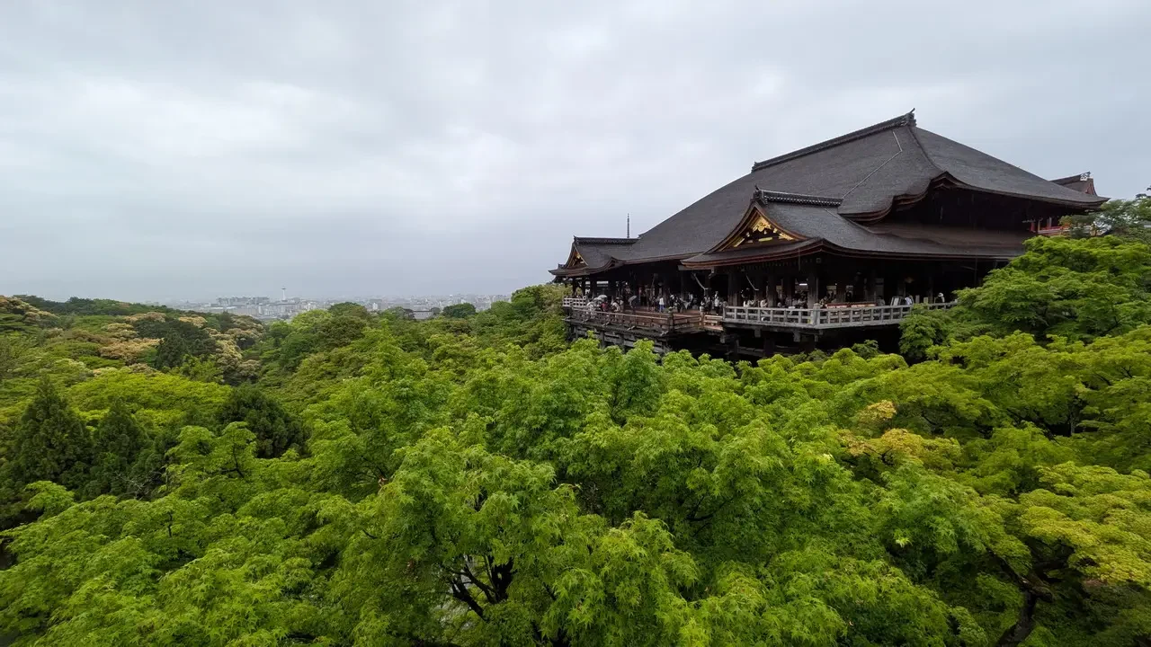 Vista panoramica del tempio Kiyomizu-dera immerso nel verde di Kyoto.