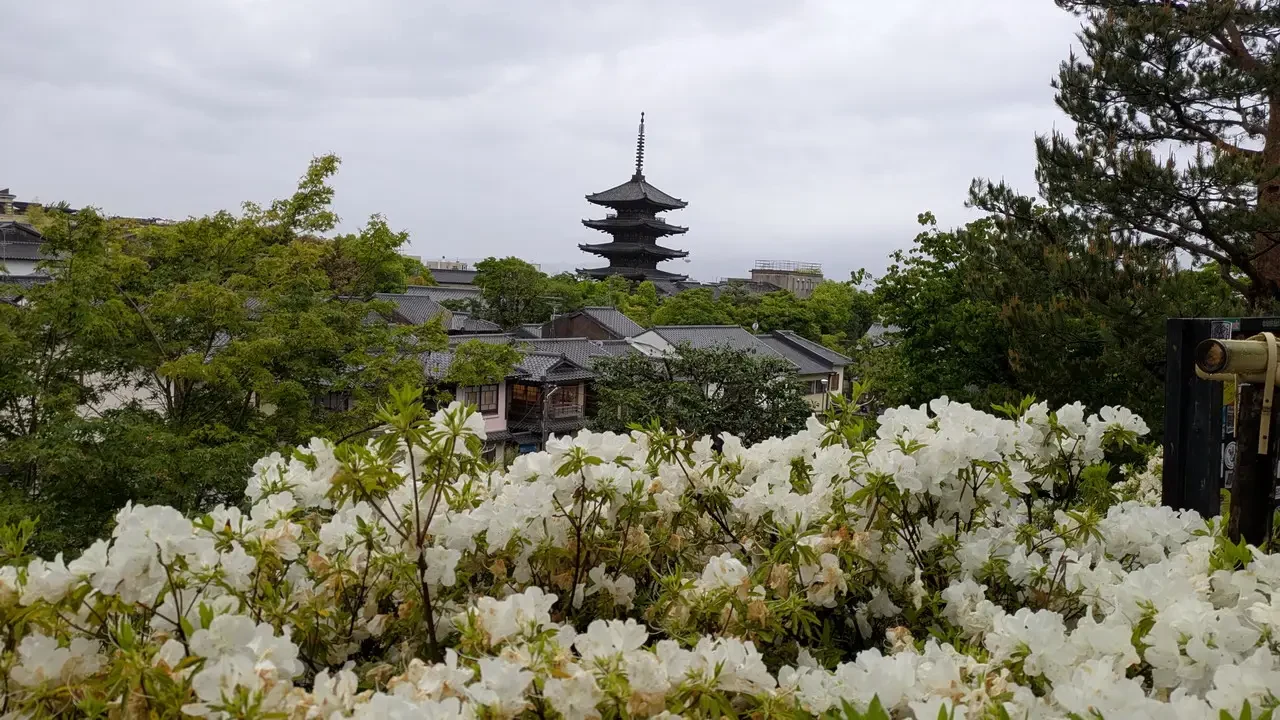 Un tempio e una pagoda sono visibili attraverso un campo di fiori bianchi in Giappone.