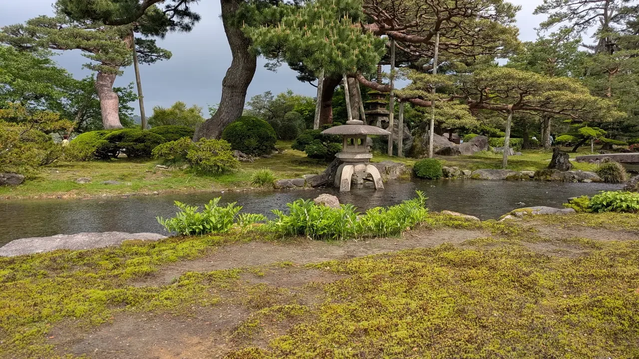 Un tranquillo giardino giapponese con alberi di pino e un elemento d'acqua in pietra.