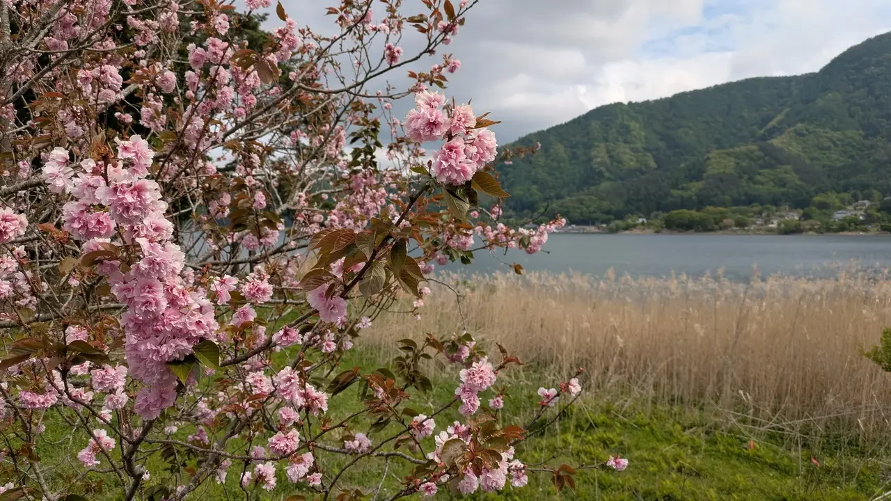 Japanese Alps III