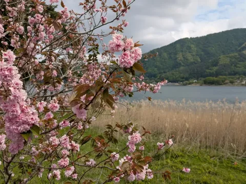Japanese Alps III